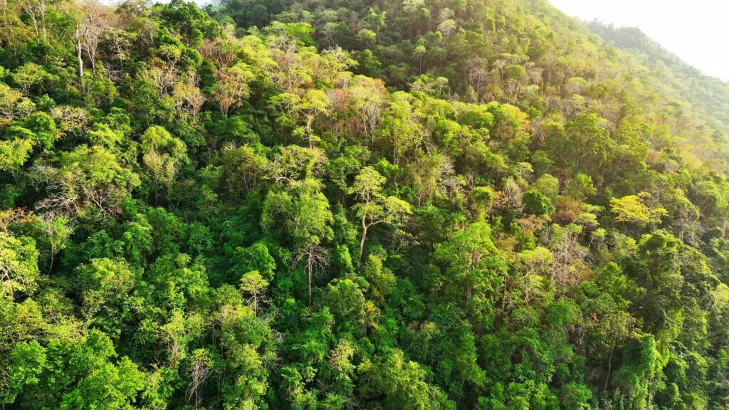 Khao Kalok hill: A Powerful Coastal Learning Experience
