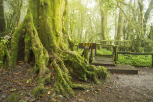 Dragon Study Tours Blog 21 Khao Nang Phanthurat Forest Park builds confidence and communication skills through safe, structured outdoor learning for junior groups in Hua Hin.