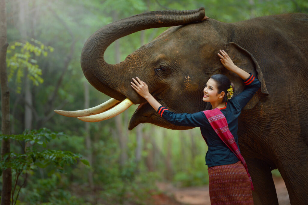 Wildlife Friends Foundation Thailand 1 Wildlife Friends Foundation Thailand: