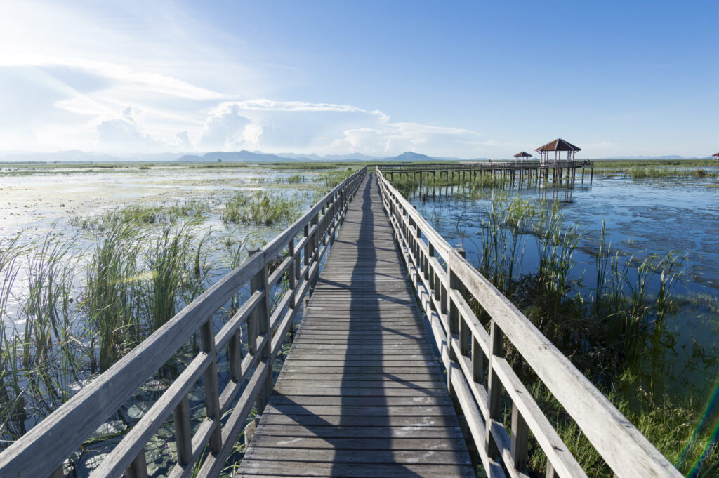 Kuiburi National Park: 5 Essential Learning Experiences for School Groups 2 Wooden boardwalk stretching across wetlands near Kuiburi National Park on a sunny day