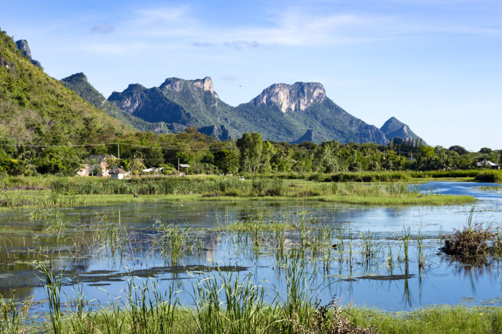 Elephant Conservation Experiences 70 Mountain and wetland scenery close to Kuiburi National Park under a clear sky