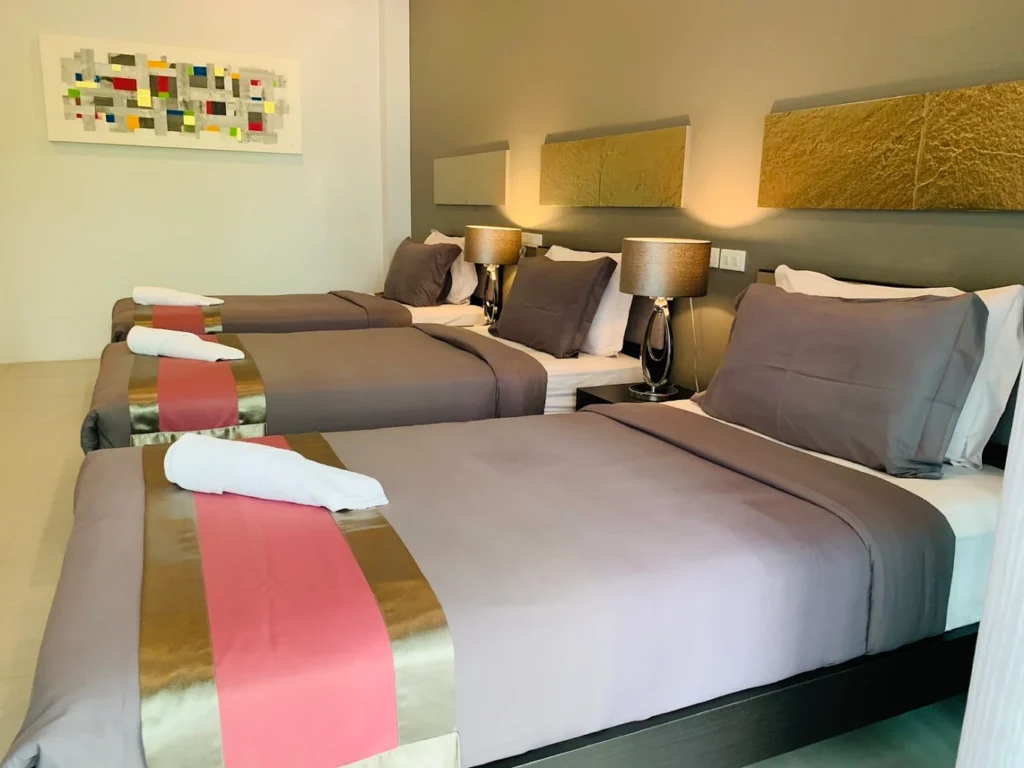 Residential Programme Thailand: Why The Palm Residence in Hua Hin Is the Safest and Most Inspiring Base for Teen Conservation Work 17 residential programme Thailand