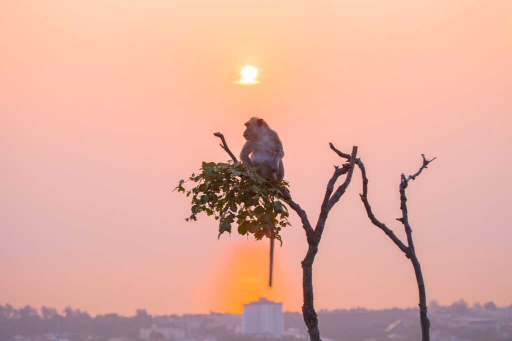 New Coastal Thailand: Why Hua Hin Is the Fresh and Inspiring Destination Every Student Group Needs to Discover 39 new coastal Thailand
