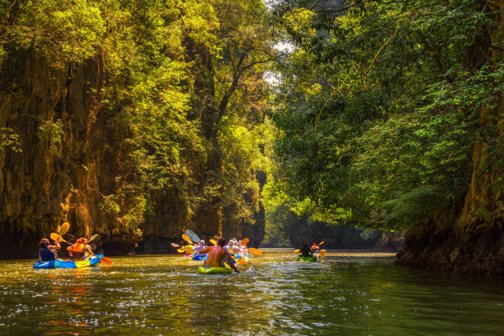 Pranburi Forest Park Thailand: Why the Kayaking and Mangrove Exploration Excursion Is One of the Most Exciting Afternoons in the Dragon Study Tours Programme 1 Pranburi Forest Park Thailand