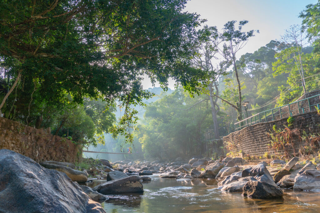 Wildlife Rescue Thailand: Why Wildlife Friends Foundation Thailand Gives Dragon Study Tours Groups Their Most Expansive Conservation Day 1 wildlife rescue Thailand