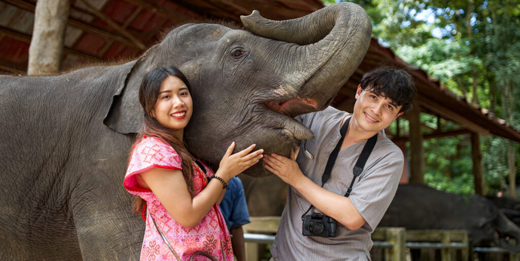 Elephant Conservation Education Thailand: Why the Dragon Study Tours Programme Gives Teen Groups the Deepest Learning Available in Southeast Asia 1 elephant conservation education Thailand