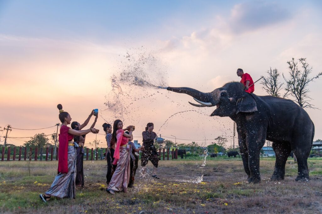 What Makes the Dragon Study Elephant Conservation Experience Different From a Tourist Attraction? 1 elephant conservation Thailand students