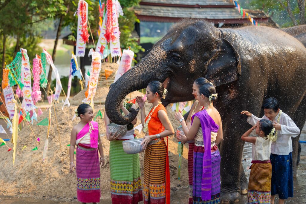 UCAS Personal Statement Thailand: Why the Dragon Study Tours Elephant Conservation Experience Gives Teen Groups Something Genuinely Remarkable to Write About 1 UCAS personal statement Thailand