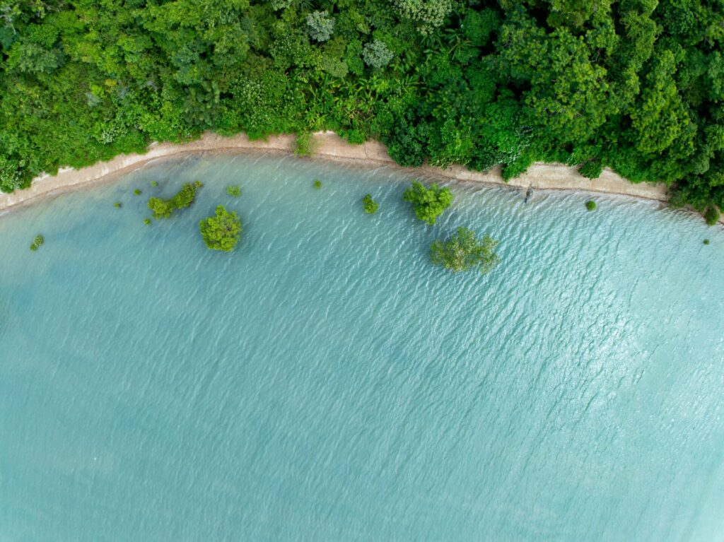 Hua Hin mangrove forest boat tour