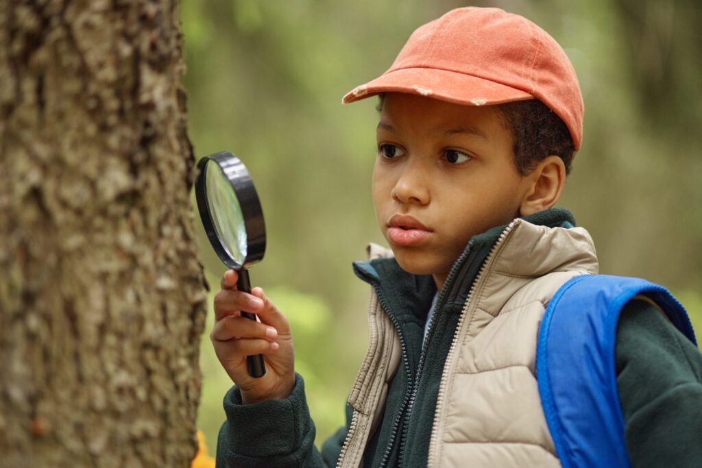 What Do Students Do at the Weekend at Dragon Study Tours? 1 weekend excursions for school groups