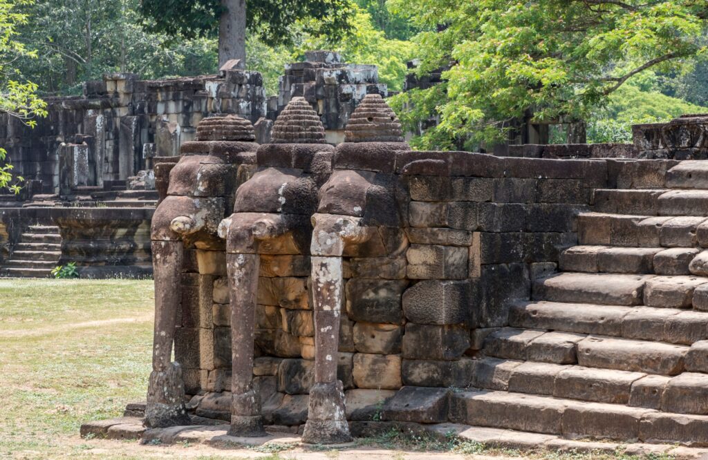 A conservation programme Hua Hin built for teens aged 13–17. Four ethical partners, 14 nights, fully supervised. All year round. Enquire now.