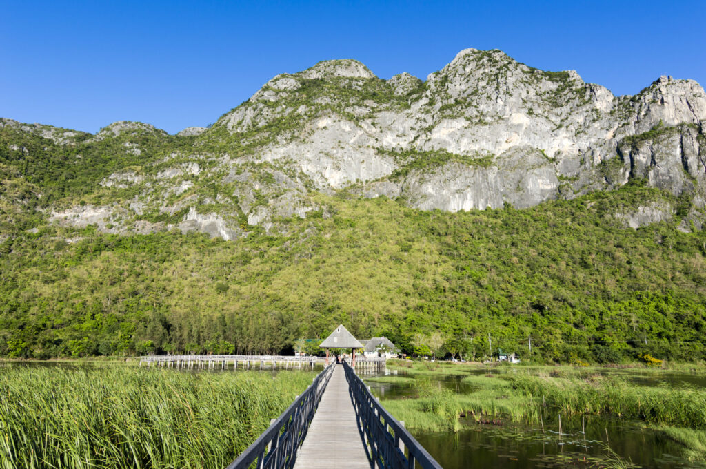 Khao Sam Roi Yot National Park Thailand: Why This Extraordinary Coastal Wilderness Is the Perfect Excursion for Dragon Study Tours Conservation Groups 1 Khao Sam Roi Yot National Park Thailand