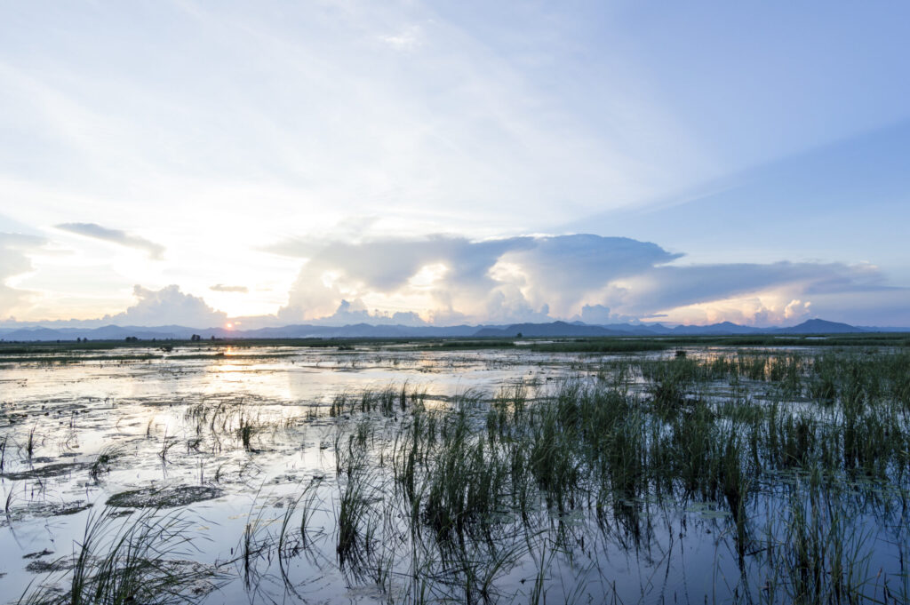 Khao Sam Roi Yot National Park Thailand: Why This Extraordinary Coastal Wilderness Is the Perfect Excursion for Dragon Study Tours Conservation Groups 9 Khao Sam Roi Yot